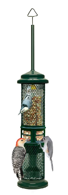 Brome Squirrel Buster Nut Feeder