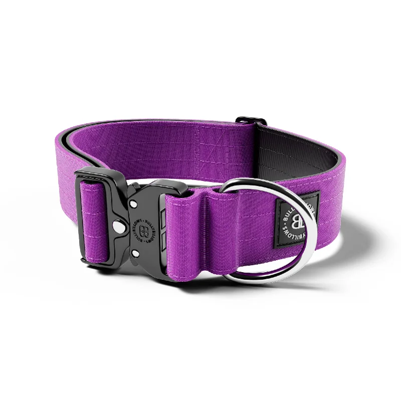 5cm Combat® Collar | NO Handle & Secure Clip - Purple