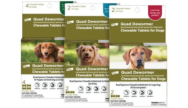 BAYER QUAD DEWORMER K9