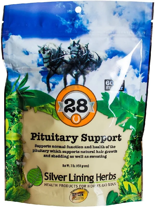 Silver Lining Herbs Pituitary Support Horse Supplement