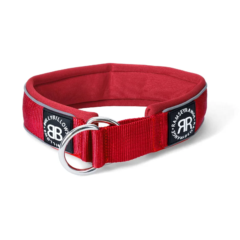 5cm Slip on Collar | Foam Padded - Red