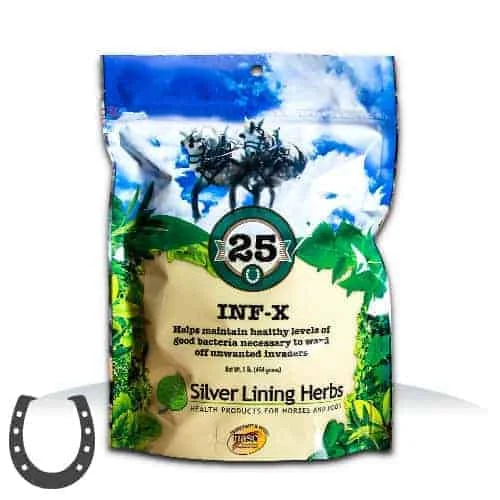 Silver Lining Herbs 25 INF-X for Horses