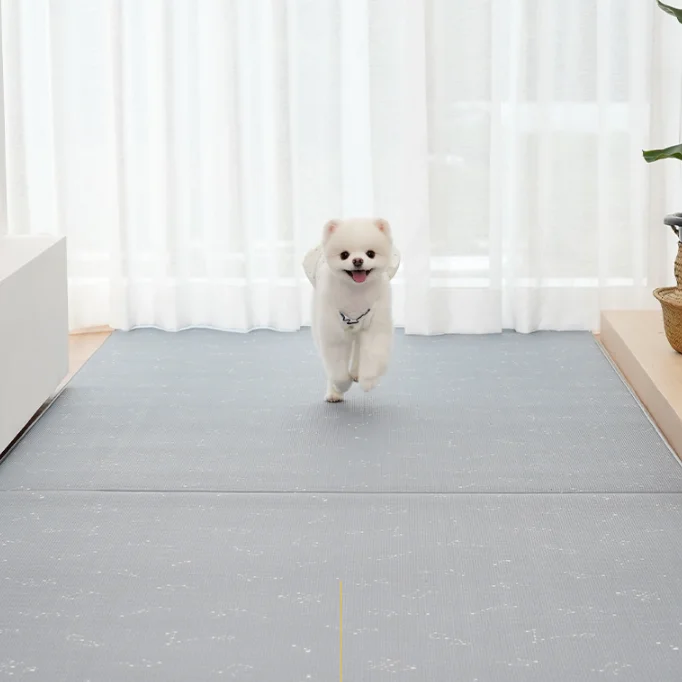 【PRE-ORDER】Non-Slip Waterproof Pet Mat - Hallway 走廊款 (Modern Pattern)