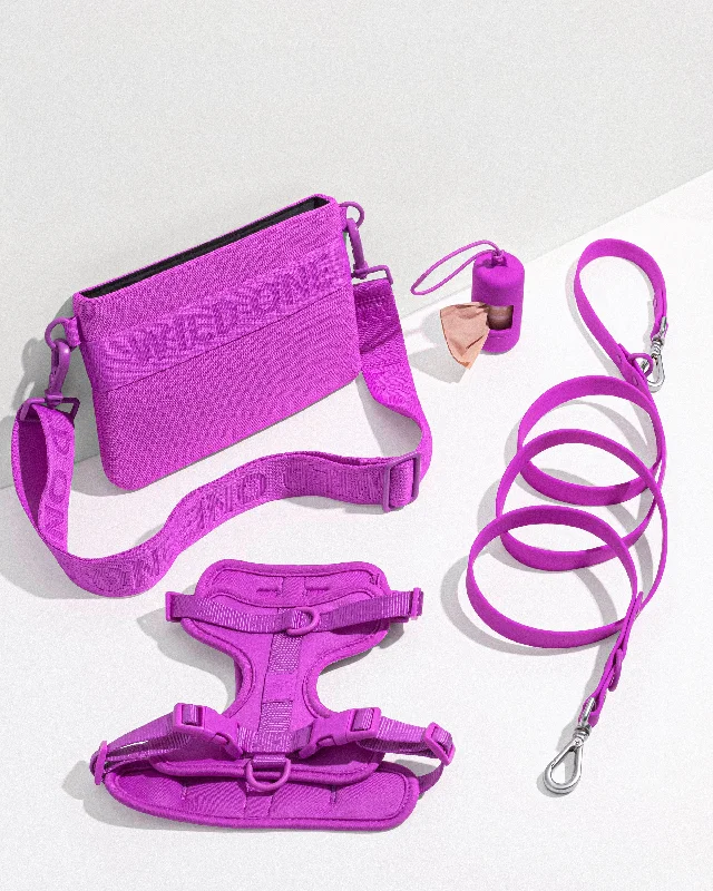 Harness Walk & Treat Kit