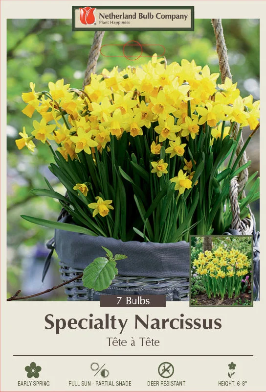 Netherland Bulb Company Narcissus Tête à Têt