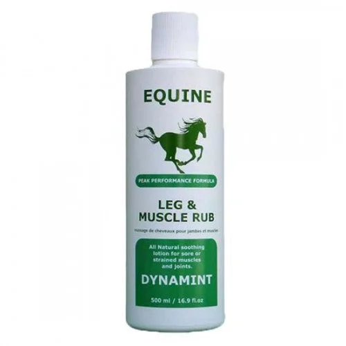 Dynamint Equine Leg & Muscle Rub