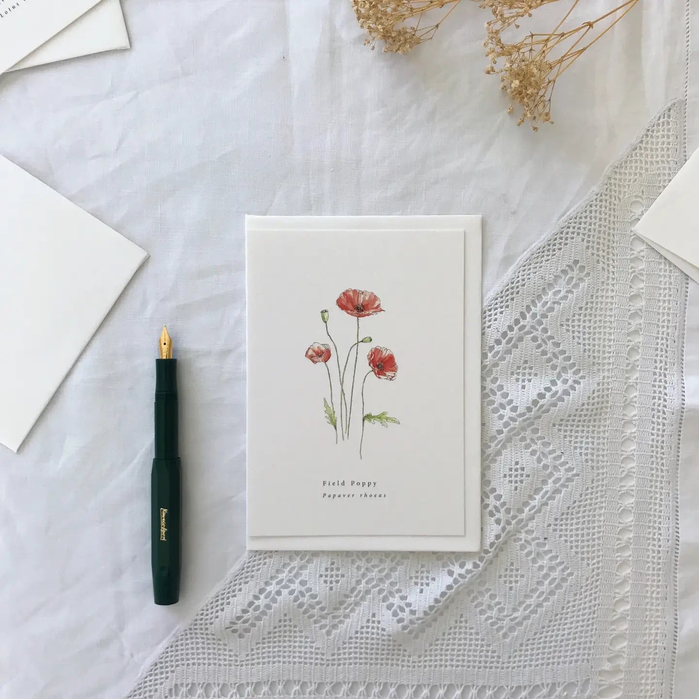 'Field Poppy' Botanical Illustration Card