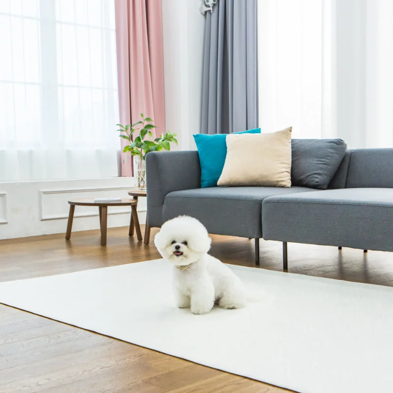 【PRE-ORDER】Non-Slip Waterproof Pet Mat - Rug 整體款 (Modern Pattern)