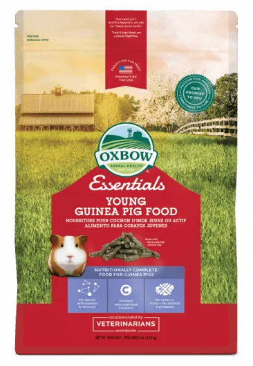 Oxbow Essentials Young Guinea Pig