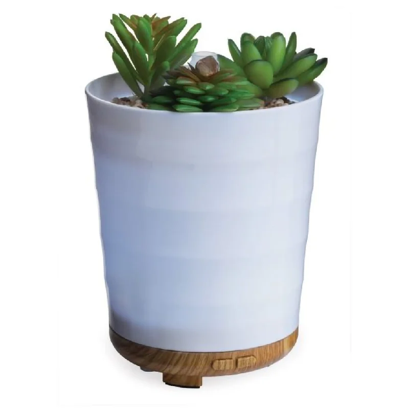 Airomé : Potted Succulent Medium Ultra SonicDiffuser