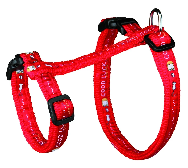 Cat harness with leash, XL, nylon, 34-57 cm/13 mm, 1.20 m