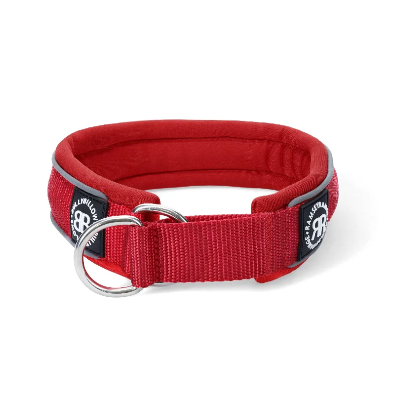 4cm Slip on Collar | Foam Padded - Red