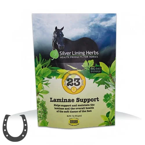 Silver Lining Herbs 23 Laminae Support for Horses